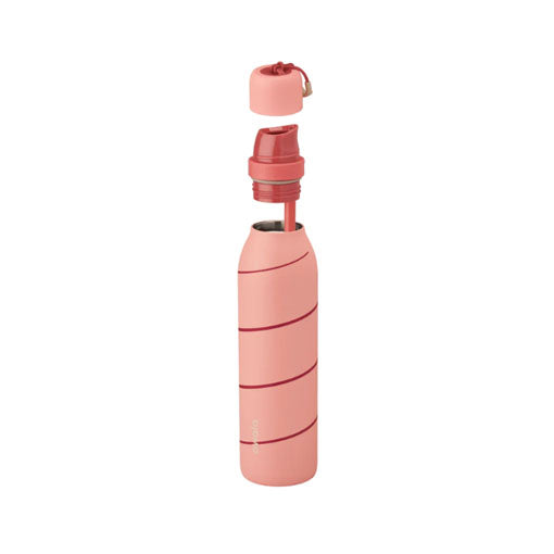FreeSip Twist - Merry and Bright - Candy Cane Lane - 24oz